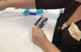 Img 0955